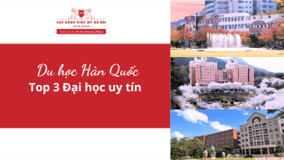 Tin tức du học tại đẳng Việt Mỹ Hà Nội